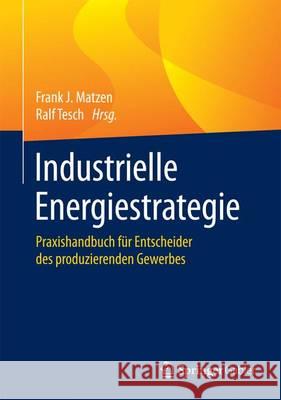Industrielle Energiestrategie: Praxishandbuch Für Entscheider Des Produzierenden Gewerbes Matzen, Frank J. 9783658076054