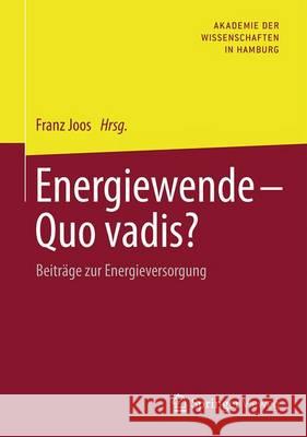 Energiewende - Quo Vadis?: Beiträge Zur Energieversorgung Joos, Franz 9783658117986