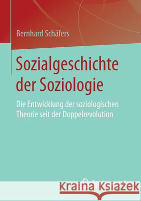 Sozialgeschichte Der Soziologie: Die Entwicklung Der Soziologischen Theorie Seit Der Doppelrevolution Schäfers, Bernhard 9783658124199 Springer vs