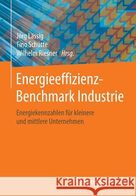 Energieeffizienz-Benchmark Industrie: Energiekennzahlen Für Kleinere Und Mittlere Unternehmen Lässig, Jörg 9783658139933