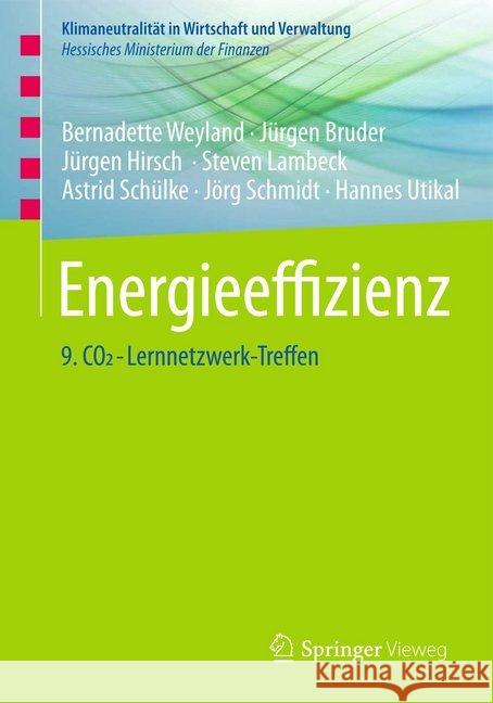 Energieeffizienz: 9. Co2-Lernnetzwerk-Treffen Weyland, Bernadette 9783658172244