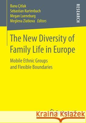 The New Diversity of Family Life in Europe: Mobile Ethnic Groups and Flexible Boundaries Çitlak, Banu 9783658178567 Springer vs