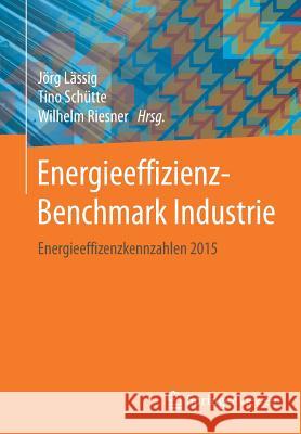 Energieeffizienz-Benchmark Industrie: Energieeffizienzkennzahlen 2015 Lässig, Jörg 9783658191733