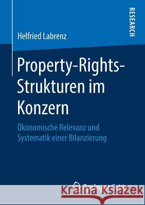 Property-Rights-Strukturen Im Konzern: Ökonomische Relevanz Und Systematik Einer Bilanzierung Labrenz, Helfried 9783658218423 Springer Gabler