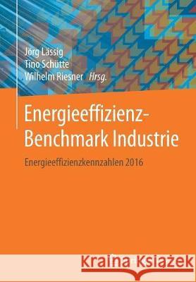 Energieeffizienz-Benchmark Industrie: Energieeffizienzkennzahlen 2016 Lässig, Jörg 9783658229559