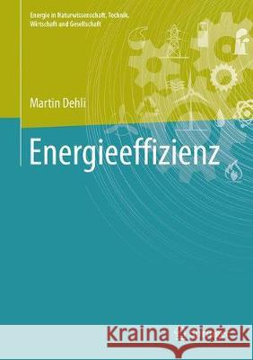 Energieeffizienz in Industrie, Dienstleistung Und Gewerbe: Energietechnische Optimierungskonzepte Für Unternehmen Dehli, Martin 9783658232030 Springer Vieweg