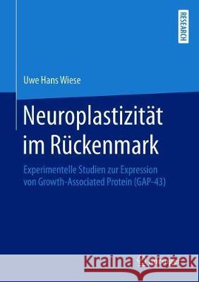 Neuroplastizität Im Rückenmark: Experimentelle Studien Zur Expression Von Growth-Associated Protein (Gap-43) Wiese, Uwe Hans 9783658273606 Springer, Berlin