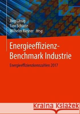 Energieeffizienz-Benchmark Industrie: Energieeffizienzkennzahlen 2017 Lässig, Jörg 9783658290849