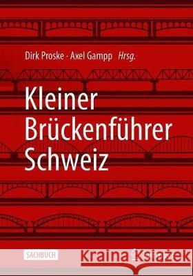 Kleiner Brückenführer Schweiz Proske, Dirk 9783658322281