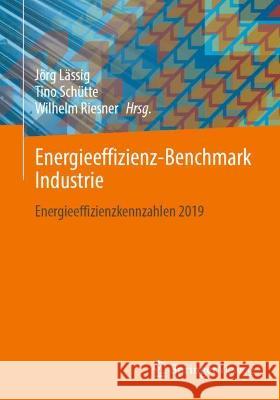 Energieeffizienz-Benchmark Industrie: Energieeffizienzkennzahlen 2019 Lässig, Jörg 9783658360962 Springer Fachmedien Wiesbaden