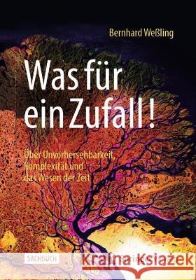 Was Für Ein Zufall!: Über Unvorhersehbarkeit, Komplexität Und Das Wesen Der Zeit Weßling, Bernhard 9783658377540 Springer Vieweg