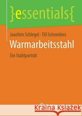Warmarbeitsstahl: Ein Stahlporträt Schlegel, Joachim 9783658395407