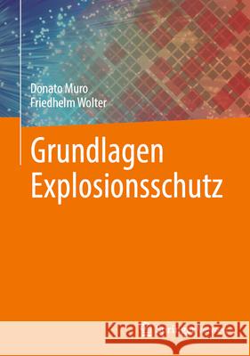 Grundlagen Explosionsschutz Donato Muro Friedhelm Wolter 9783658454340 Springer Vieweg