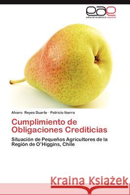 Cumplimiento de Obligaciones Crediticias Alvaro Reye Patricio Ibarra 9783659003622 Editorial Acad Mica Espa Ola