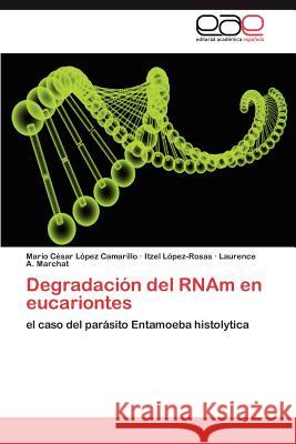 Degradacion del Rnam En Eucariontes Mario C. L Itzel L Laurence A. Marchat 9783659003660 Editorial Acad Mica Espa Ola