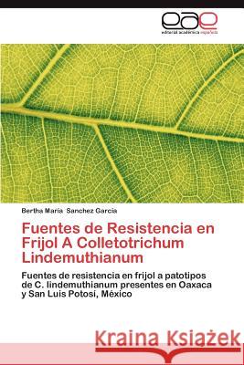 Fuentes de Resistencia En Frijol a Colletotrichum Lindemuthianum Bertha Mar Sanche 9783659010149 Editorial Acad Mica Espa Ola