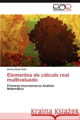 Elementos de Calculo Real Multivaluado Carlos C. P 9783659010798 Editorial Acad Mica Espa Ola