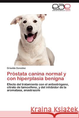 PR Stata Canina Normal y Con Hiperplasia Benigna Griselda Gon 9783659013058 Editorial Acad Mica Espa Ola