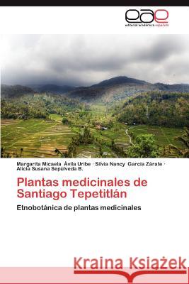 Plantas Medicinales de Santiago Tepetitlan Margarita Micaela Vil Silvia Nancy Gar Alicia Susana Se 9783659015281 Editorial Acad Mica Espa Ola