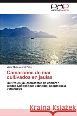 Camarones de Mar Cultivados En Jaulas V. Ctor Hugo J 9783659016134 Editorial Acad Mica Espa Ola