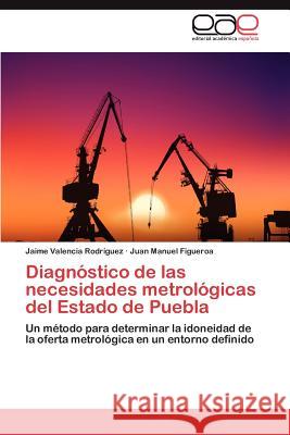 Diagnostico de Las Necesidades Metrologicas del Estado de Puebla Jaime Valenci Juan Manuel Figueroa 9783659017537 Editorial Acad Mica Espa Ola