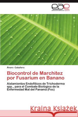Biocontrol de Marchitez Por Fusarium En Banano Lvaro Caballero 9783659020667