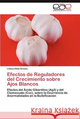 Efectos de Reguladores del Crecimiento Sobre Ajos Blancos Liliana Elida Grosso 9783659025228 Editorial Acad Mica Espa Ola