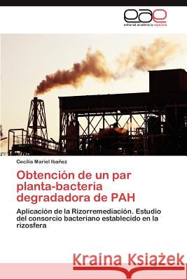 Obtencion de Un Par Planta-Bacteria Degradadora de Pah Cecilia Mariel Ib 9783659028830 Editorial Acad Mica Espa Ola