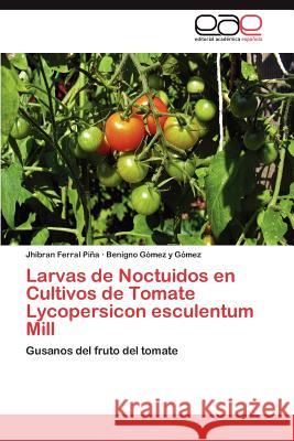 Larvas de Noctuidos En Cultivos de Tomate Lycopersicon Esculentum Mill Jhibran Ferra Benigno G 9783659034923 Editorial Acad Mica Espa Ola