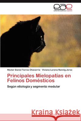 Principales Mielopatias En Felinos Domesticos H. Ctor Daniel Torre Viviana Lorena Nanni 9783659035227 Editorial Acad Mica Espa Ola