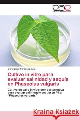 Cultivo in vitro para evaluar salinidad y sequía en Phaseolus vulgaris : Cultivo de callo in vitro como alternativa para evaluar salinidad y sequía en frijol 
