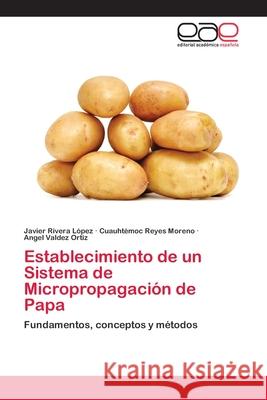 Establecimiento de un Sistema de Micropropagación de Papa Rivera López, Javier 9783659056048