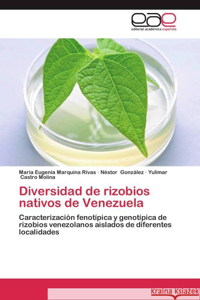 Diversidad de rizobios nativos de Venezuela : Caracterización fenotípica y genotípica de rizobios venezolanos aislados de diferentes localidades Marquina Rivas, Maria Eugenia; González, Néstor; Castro Molina, Yulimar 9783659057465