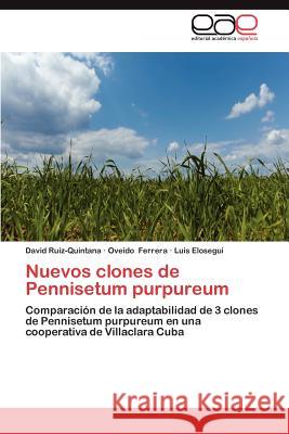 Nuevos clones de Pennisetum purpureum Ruiz-Quintana, David 9783659063688
