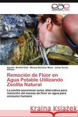 Remoción de Flúor en Agua Potable Utilizando Zeolita Natural Montiel Cota, Agustín 9783659064845 Editorial Acad Mica Espa Ola