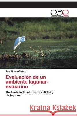 Evaluación de un ambiente lagunar- estuarino Pineda Olmedo, Raúl 9783659070303