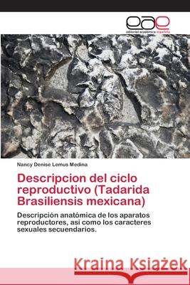 Descripcion del ciclo reproductivo (Tadarida Brasiliensis mexicana) Lemus Medina, Nancy Denise 9783659073328