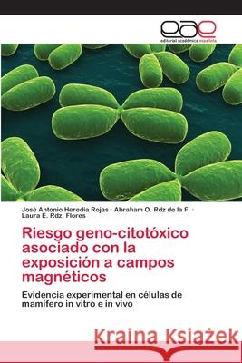 Riesgo geno-citotóxico asociado con la exposición a campos magnéticos Heredia Rojas, Jose Antonio 9783659074677 Editorial Academica Espanola