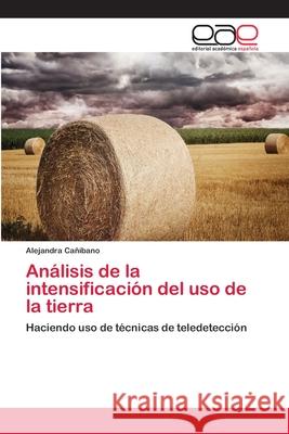 Análisis de la intensificación del uso de la tierra Cañibano, Alejandra 9783659077067 Editorial Academica Espanola