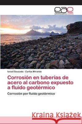 Corrosión en tuberías de acero al carbono expuesto a fluido geotérmico Sauceda, Israel 9783659082740 Editorial Academica Espanola