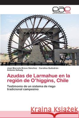 Azudas de Larmahue en la región de O'higgins, Chile Bravo Sánchez, José Marcelo 9783659084874 Editorial Academica Espanola