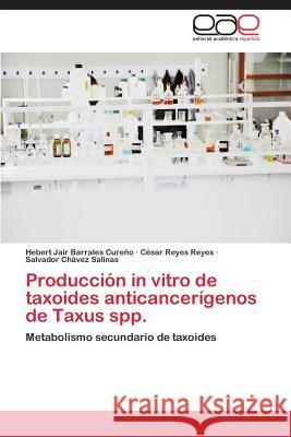 Producción in vitro de taxoides anticancerígenos de Taxus spp. Barrales Cureño Hebert Jair 9783659090752