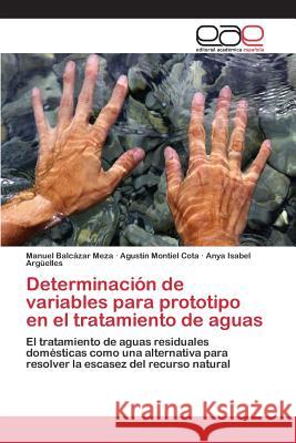 Determinación de variables para prototipo en el tratamiento de aguas Balcázar Meza Manuel 9783659095030 Editorial Academica Espanola
