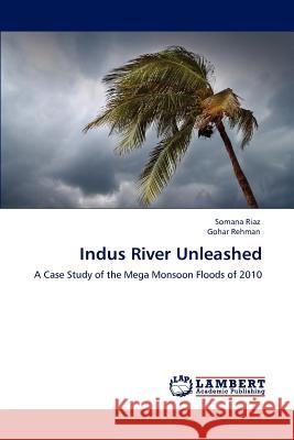 Indus River Unleashed Somana Riaz Gohar Rehman 9783659105531