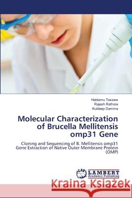 Molecular Characterization of Brucella Mellitensis omp31 Gene Tassew, Habtamu 9783659120459 LAP Lambert Academic Publishing