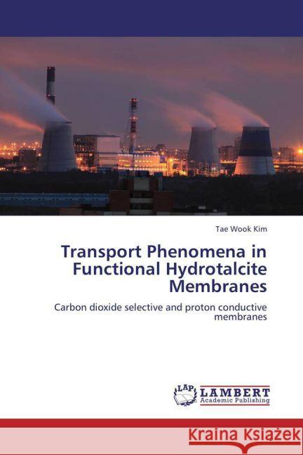 Transport Phenomena in Functional Hydrotalcite Membranes : Carbon dioxide selective and proton conductive membranes Kim, Tae Wook 9783659127274