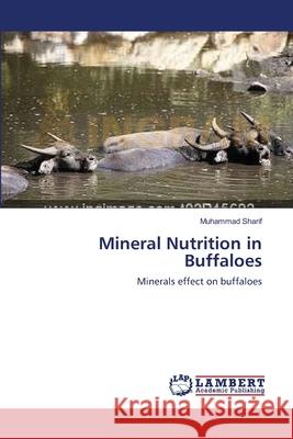 Mineral Nutrition in Buffaloes Muhammad Sharif 9783659137624