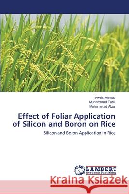 Effect of Foliar Application of Silicon and Boron on Rice Awais Ahmad Muhammad Tahir Muhammad Afzal 9783659138348 LAP Lambert Academic Publishing