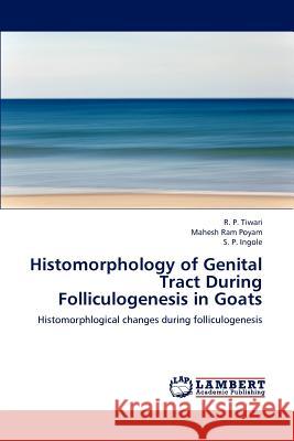 Histomorphology of Genital Tract During Folliculogenesis in Goats R P Tiwari, Mahesh Ram Poyam, S P Ingole 9783659147371 LAP Lambert Academic Publishing