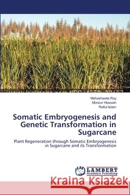 Somatic Embryogenesis and Genetic Transformation in Sugarcane Mohashweta Roy Monzur Hossain Rafiul Islam 9783659153884 LAP Lambert Academic Publishing